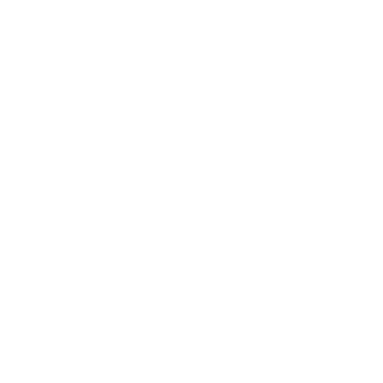 Logo incluvision