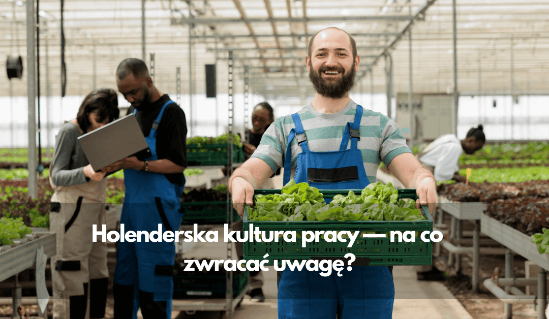 Holenderska kultura pracy — na co zwracać uwagę?