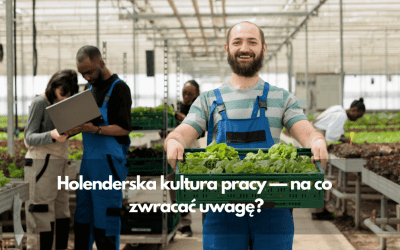 Holenderska kultura pracy — na co zwracać uwagę?