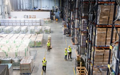 Skuteczna adaptacja do wyzwań kadrowych w branży TSL